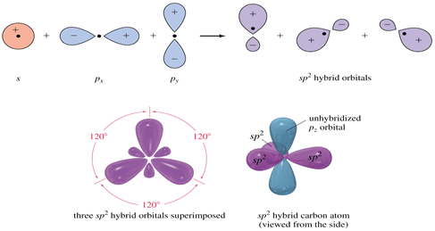 Hybridization - Online Organic Chemistry Tutor